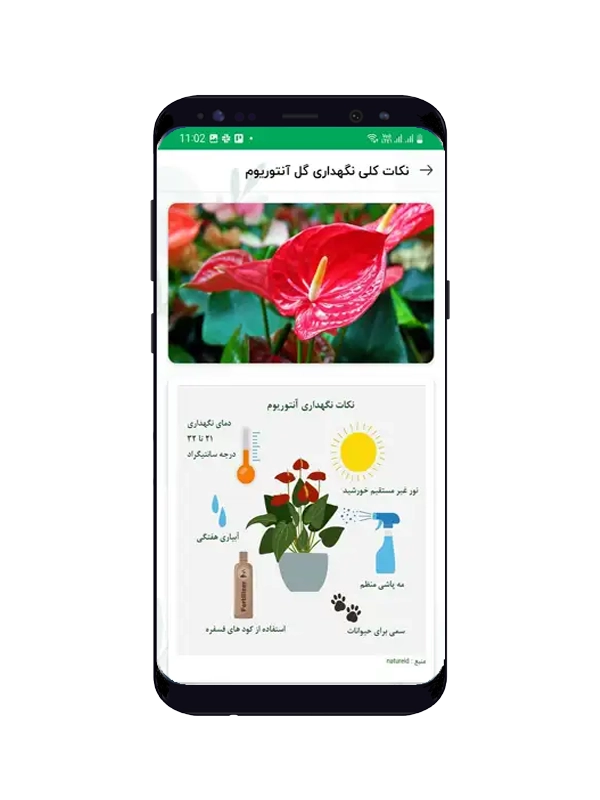 طراحی اپلیکیشن فروشگاه گل و گیاه
