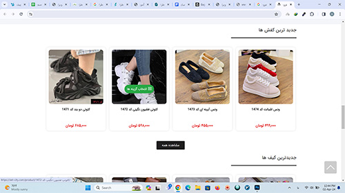 طراحی سایت فروشگاه کیف و کفش